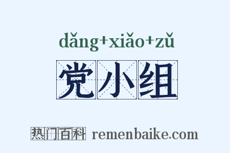 党小组是什么意思的图片